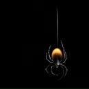 Катюша Солнце фотография #1