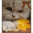 Фотография Семеновой Оксаны