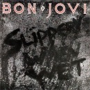 _-bon Jovi фотография #16 (источник - https://vk.com/id127027532)