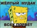 Фотография Пястолова Вовы
