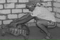 Фотография Щипцова Ира