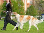 Фотография Мозговой Анастасии