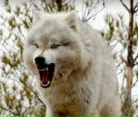 Фотография Хаскина Андрея