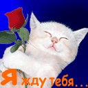 Нік Пеле фотография #3 (источник - https://vk.com/id166463921)