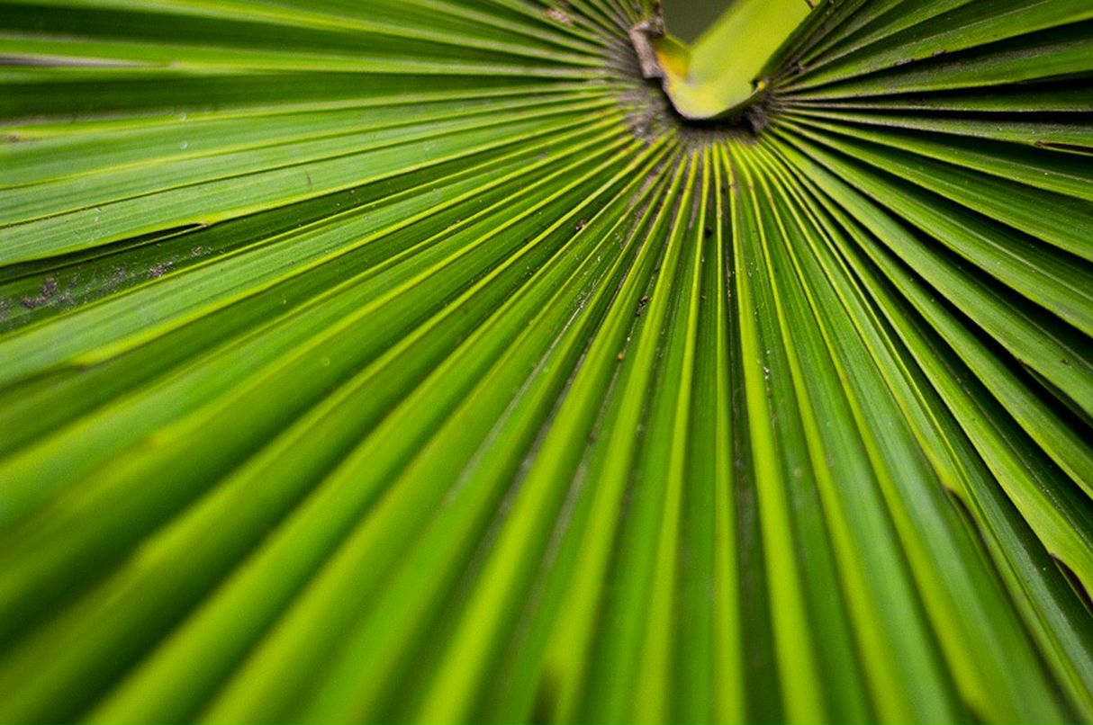 Дмитрий Арсентьев фотография #12