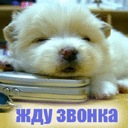 Яночка Іванішена фотография #10 (источник - https://vk.com/id147389274)