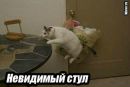 Надія Чіпак фотография #48 (источник - https://vk.com/id94490165)