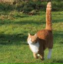 Антон Готлиб фотография #33 (источник - https://vk.com/id2249323)