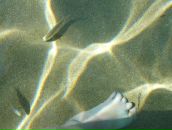 Фотография Коваль Любови