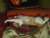 Фотография Филюшина Ивана