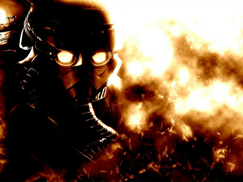 Tiger Shadow фото №12
