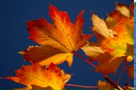 Фотография Мордвиновой Оксаны