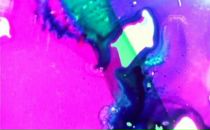 Фотография Сенько Ксюши