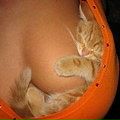 Юрій Kis фотография #42 (источник - https://vk.com/id135204106)