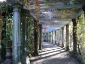 Фотография Костин Илья