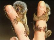 Фотография Владимировича Евгения