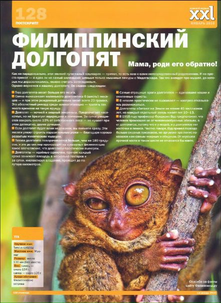 Роман Орлов фото №2