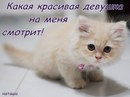 Анастасія Бойчук фотография #25 (источник - https://vk.com/id157550998)