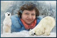 Фотография Марковский Александр