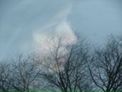 Фотография Бородиной Антонины