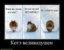 Ігор Зубенко фотография #19 (источник - https://vk.com/id1185620)