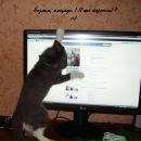 Фотография Нарбутовских Игоря