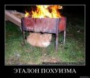Фотография Шиловой Любови