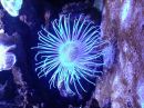 Иван Исхаков фотография #7 (источник - https://vk.com/id78032817)
