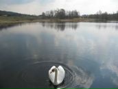 Daria Romanova фотография #32 (источник - https://vk.com/id8814847)