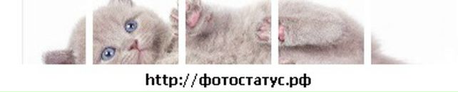 Таня Гордійчук фотография #9 (источник - https://vk.com/id73158123)