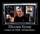 Фотография Тарутина Михаила