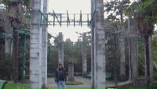 Фотография Тукоева Романа