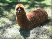 Фотография Рудневой Марины