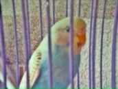 Фотография Стеблиной Маргариты