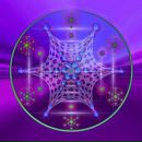 Фотография Яковлевой Алины