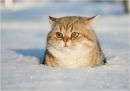 Фотография Семиютиной Веры