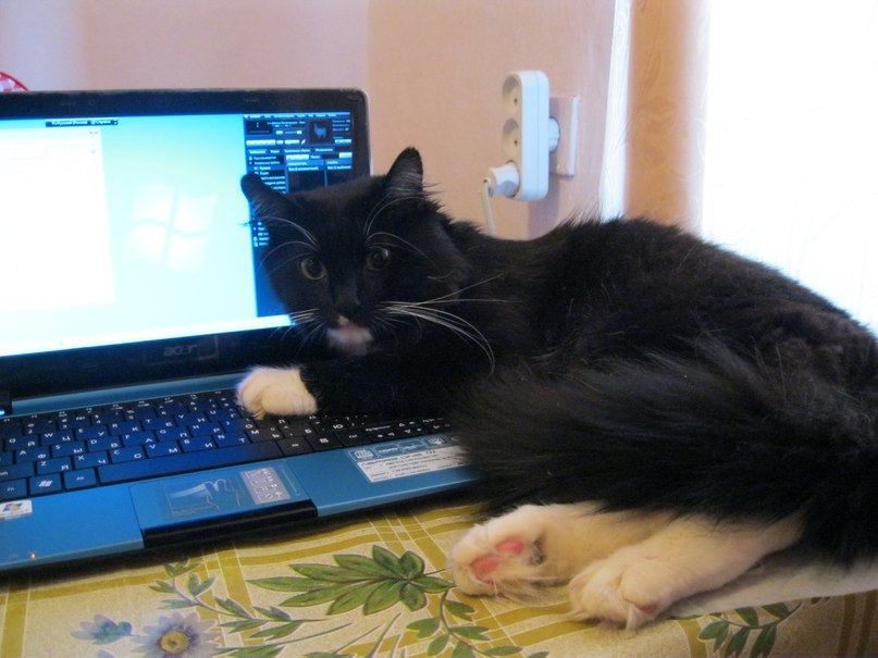 Галина Владика фотография #26