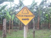 Дмитрий Гомон фотография #30 (источник - https://vk.com/id833603)