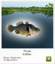 Василь Базилів фотография #2 (источник - https://vk.com/id118254948)