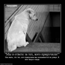 Андрій Покидюк фотография #43 (источник - https://vk.com/id41637347)