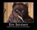 Кот Бегемот фотография #1