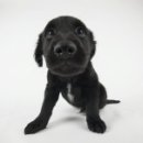 Пашка Подрез фотография #26 (источник - https://vk.com/id11777746)