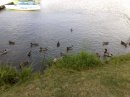 Адель Ісса фотография #49 (источник - https://vk.com/id12231187)