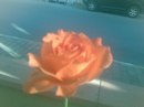 Umit Polat фотография #17 (источник - https://vk.com/id159428587)
