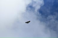 Анна Брагина фотография #21 (источник - https://vk.com/id230231)