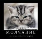 Фотография Яруллина Максума