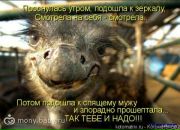 Алина Рислинг фотография #50 (источник - https://vk.com/id23099587)