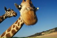 Фотография Skripin Evgen