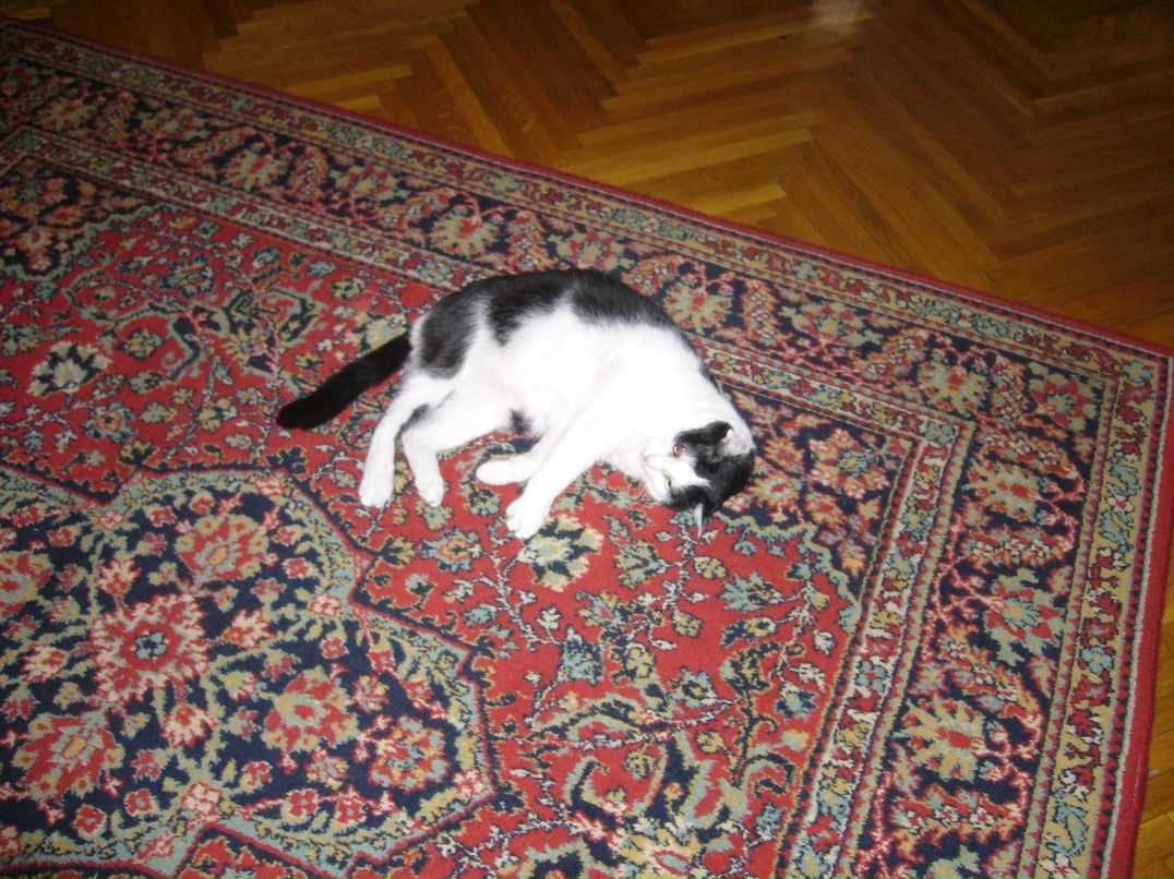 Игорь Полшков фотография #9