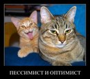 Сергій Миколайович фотография #6 (источник - https://vk.com/id21416882)